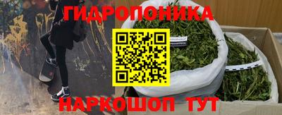 прущие грибы Лесосибирск