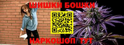 прущие грибы Лесосибирск