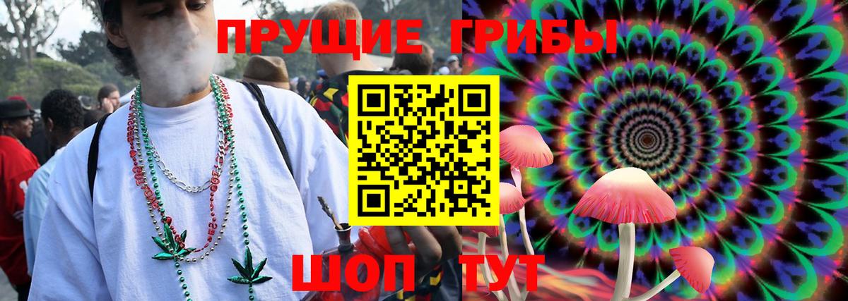 Гай  Псилоцибиновые грибы GOLDEN TEACHER  Вход с VPN  Псилоцибиновые грибы Psilocybe 